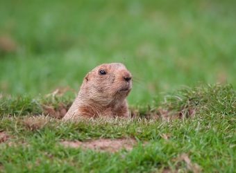 Don’t “Groundhog” Your Dating Life